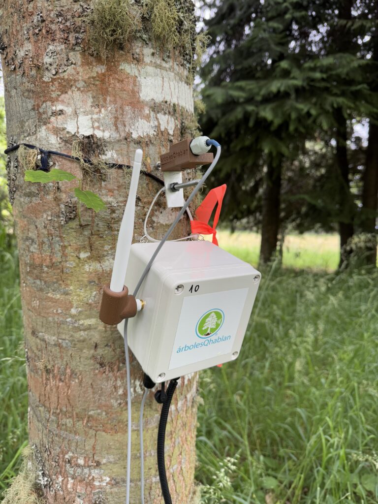 Sensor instalado en un árbol